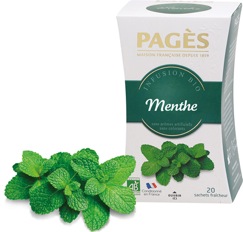 menthe-infusion-et-compagnie